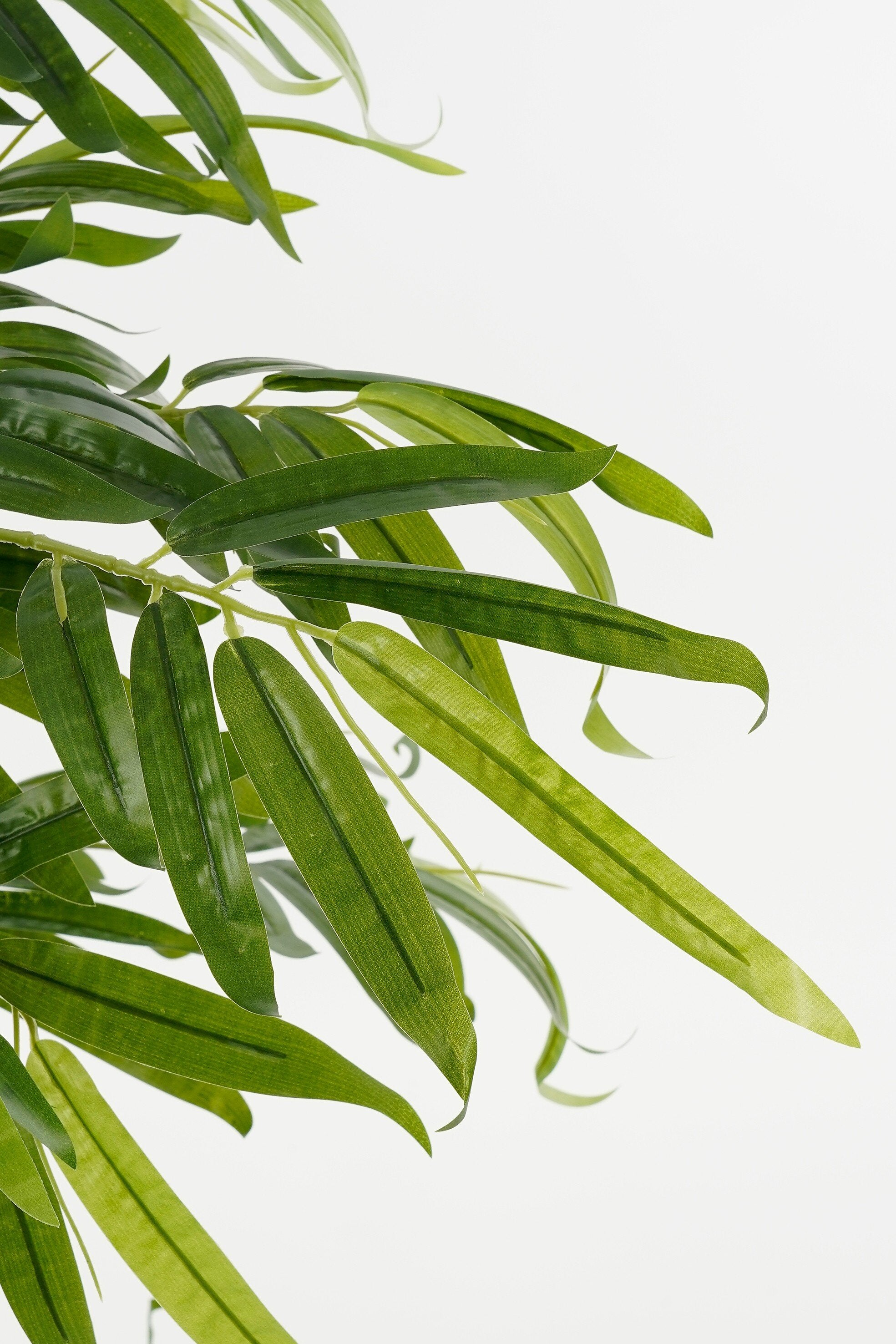 Bamboo In Pot Green Waterproof & Uv Resistant - H150Xd60Cm