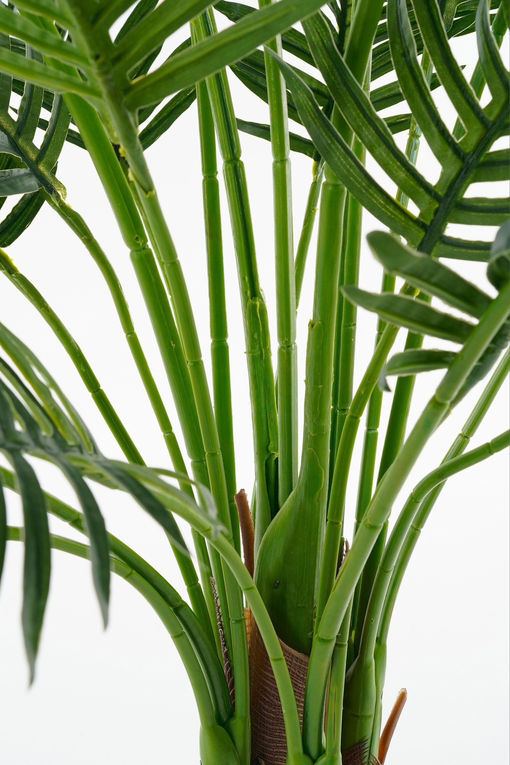 Areca Palm In Pot Green Waterproof & Uv Resistant - H134Xd50Cm