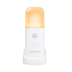 Sensor Light Portable