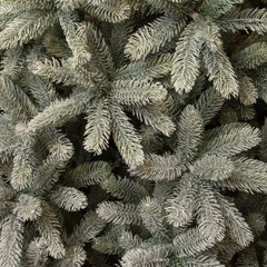 Nagoya X-Mas Tree Green Frosted Tips 2230 - H240Xd138Cm