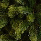 Nagoya X-Mas Tree Green Tips 1448 - H210Xd115Cm