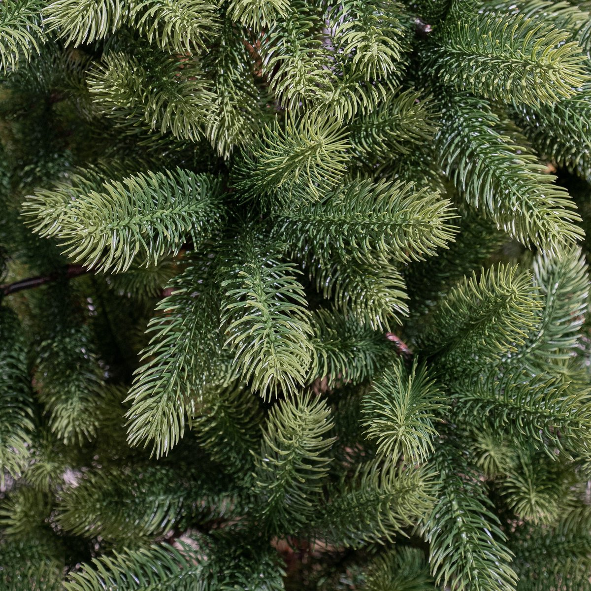 Nagoya X-Mas Tree Green Tips 2230 - H240Xd138Cm