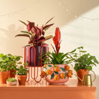 Dione Pot Round D. Red Set Of 2 - H35Xd25,5Cm