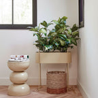 Moritz Bloempot Op Standaard - L55Xb24Xh65Cm -Ijzer  Beige