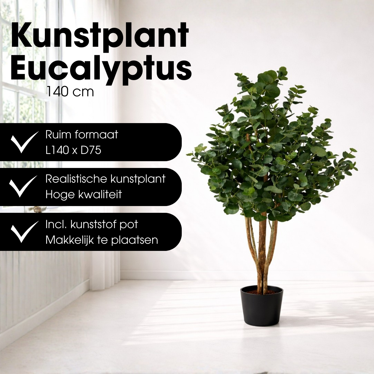 Eucalyptusboom In Pot Groen
