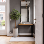 Ficus Triangularis Boom In Pot Groen