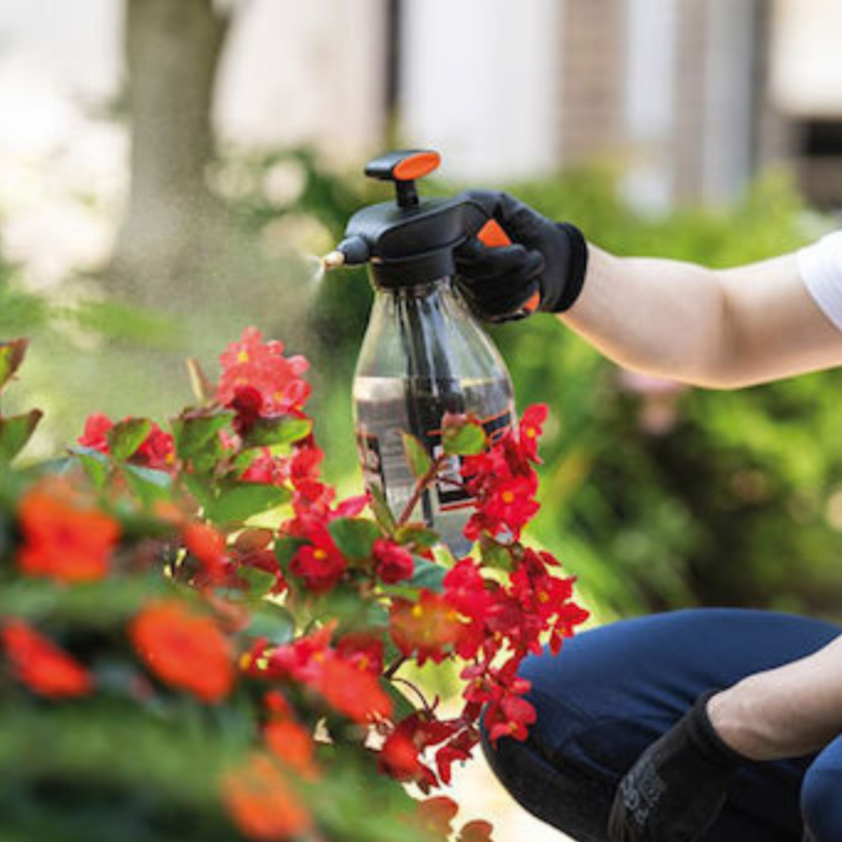 Manual Sprayer 2L W/ Transparent Pet Tank