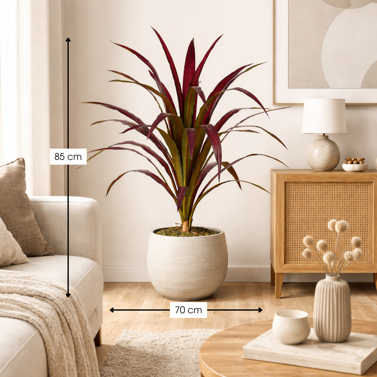 Bananenboom In Pot Rood