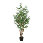 Poplar In Pot Green - H110Xd60Cm