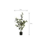 Eucalyptus Tree In Pot Green - H120Xd55Cm