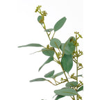 Poplar In Pot Green - H110Xd60Cm