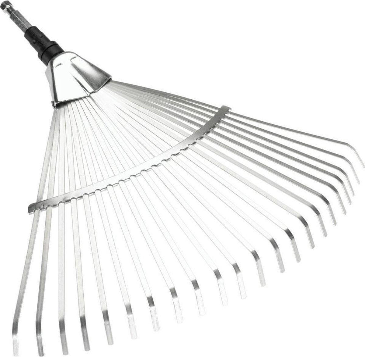 Bladhark 50 cm