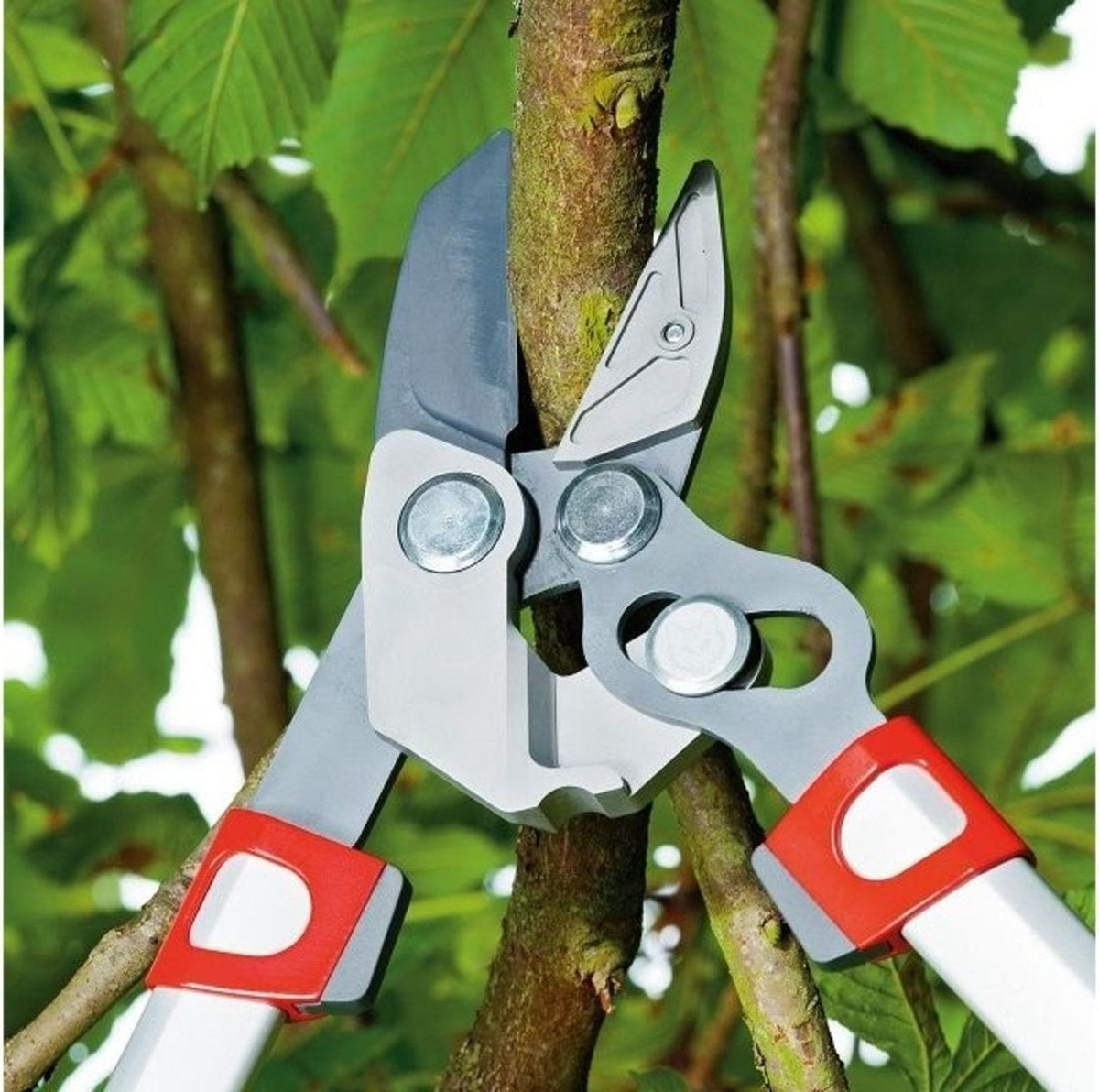 POWER CUT RS 650 AAMBEELD TAKKENSCHAAR