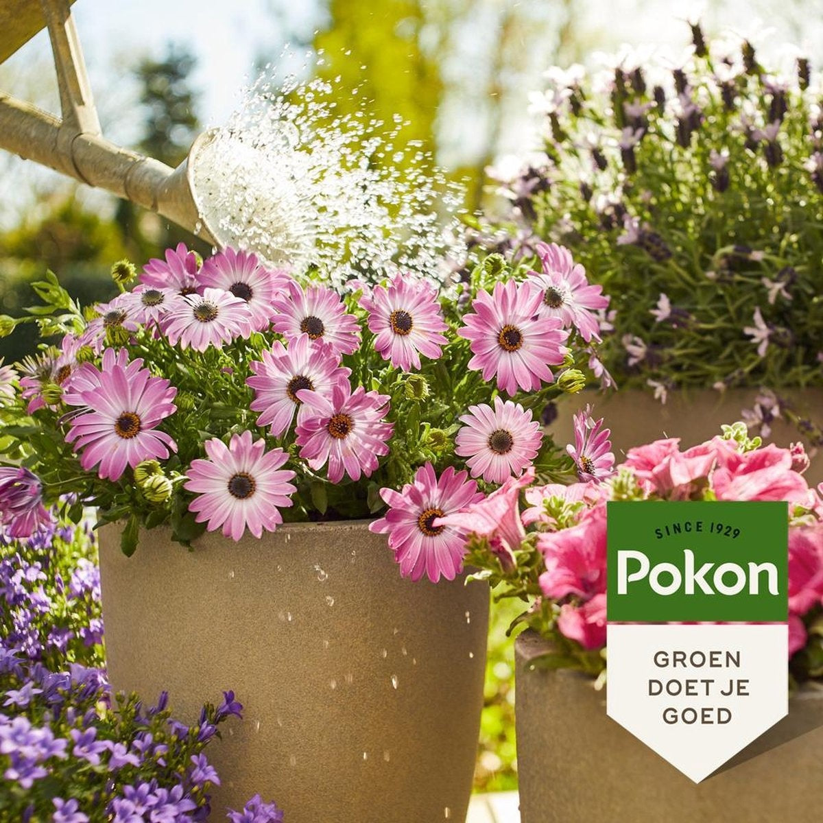 TERRAS & BALKON PLANTEN VOEDING 500 ML