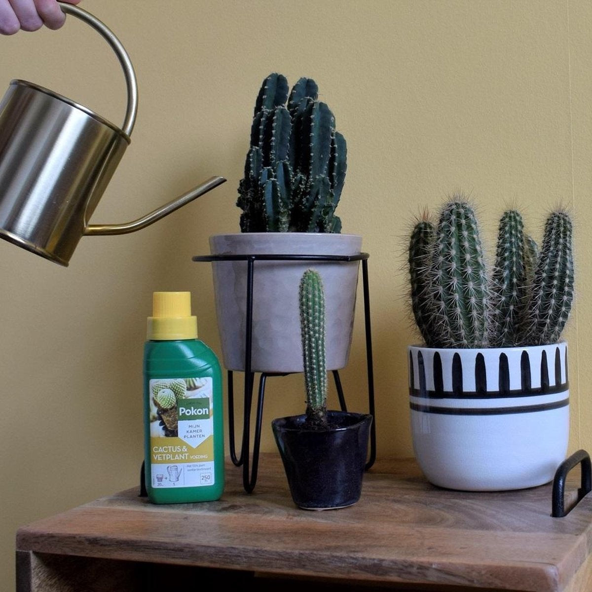 CACTUS & VETPLANT VOEDING 250 ML