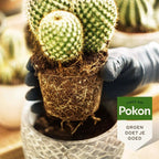 CACTUS & VETPLANT VOEDING 250 ML