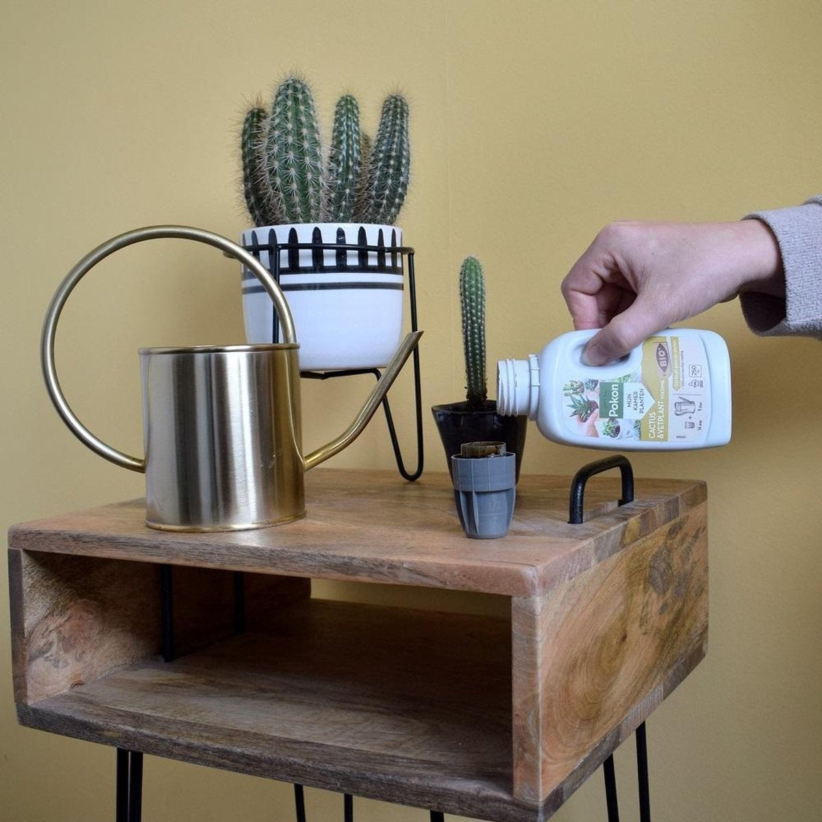 BIO CACTUS & VETPLANT VOEDING 250 ML