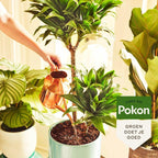  KAMERPLANTEN VOEDING 100 GRAM