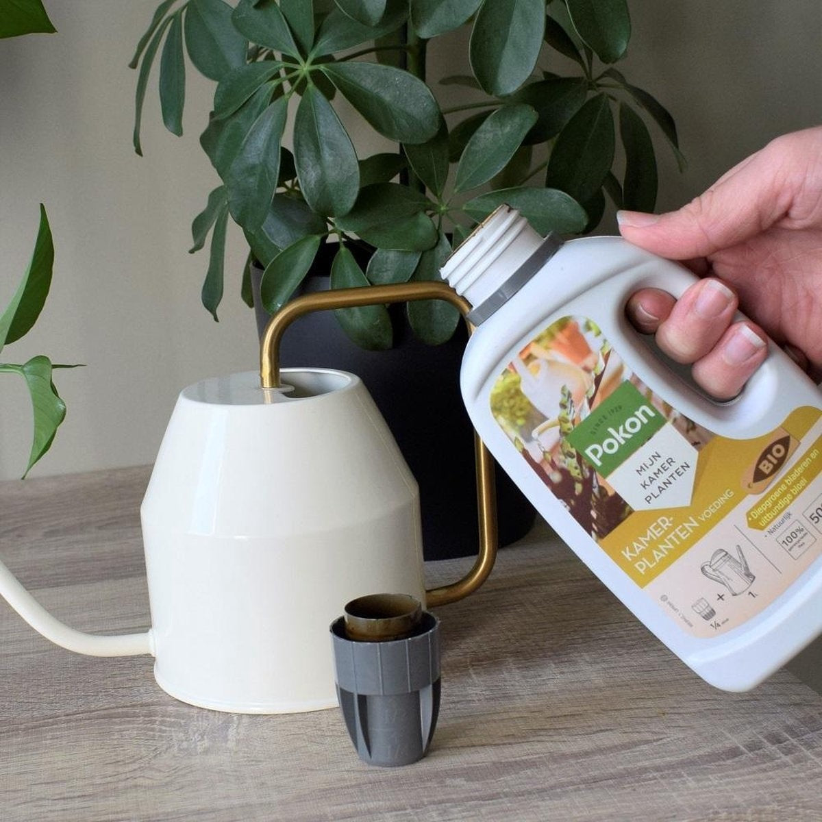 BIO KAMERPLANTEN VOEDING 500 ML