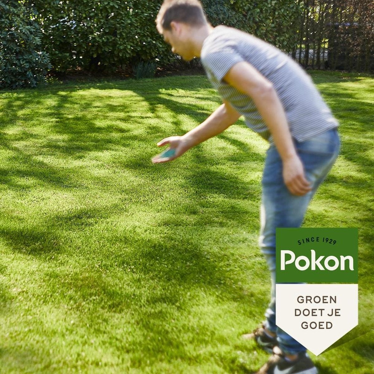 POKON GRASZAAD SCHADUW 1 KG