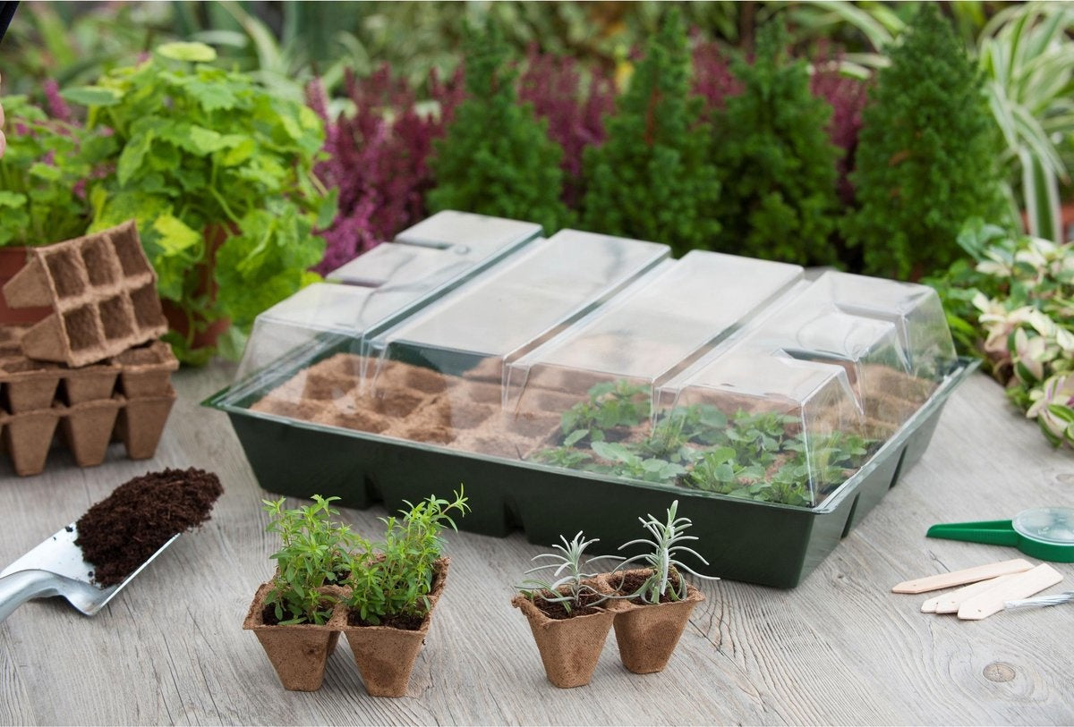  Kweekkas met veenbakken H13x43x32.5 cm