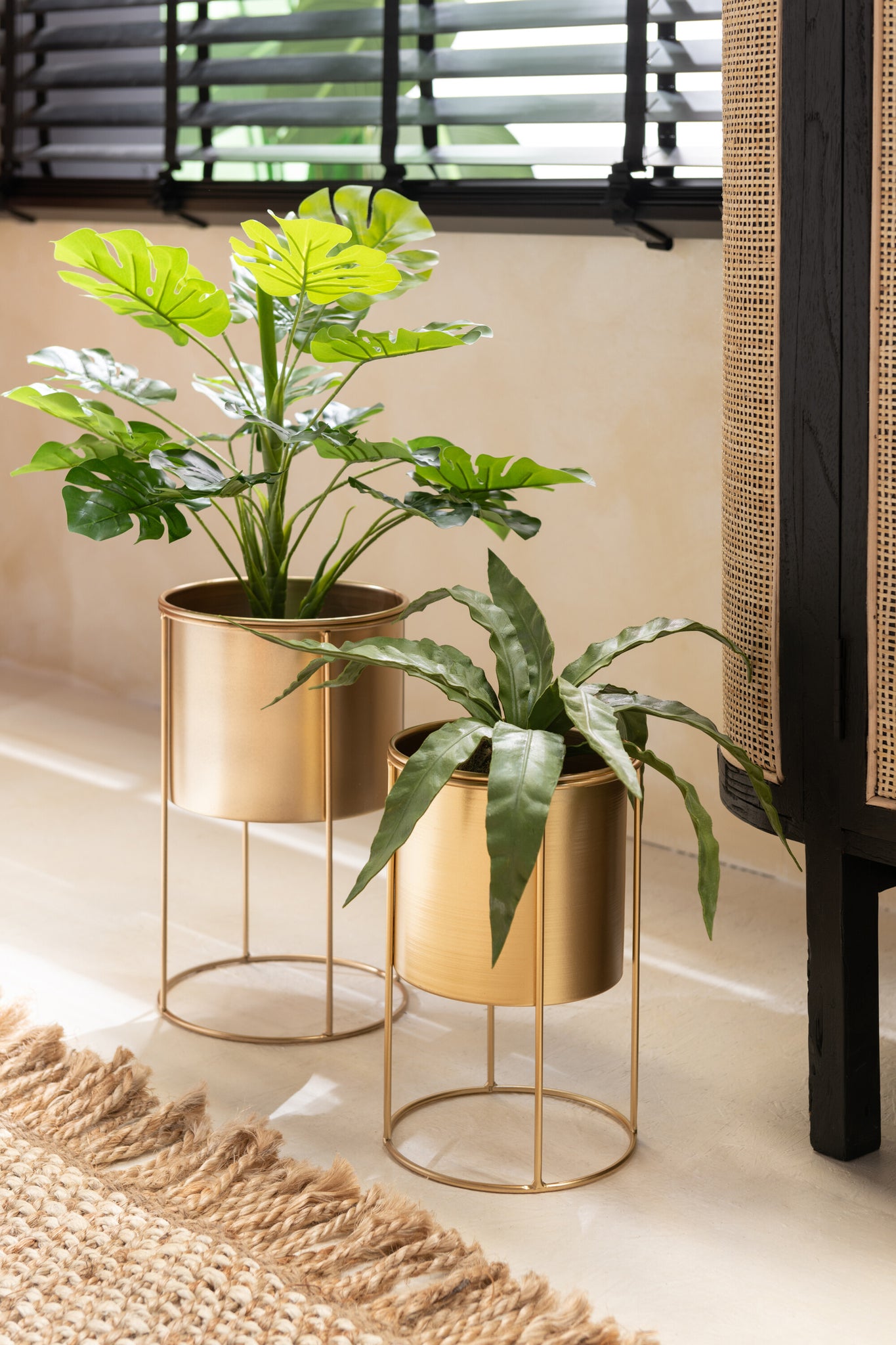 J-LINE KUNSTPLANT SNAKE PLANT BALL SOIL PLASTIC GROEN - Tuincentrum Lopik