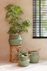 J-LINE KUNSTPLANT CHAMAEDOREA IN POT PLASTIC GROEN/ZWART LARGE 31X60X114CM - Tuincentrum Lopik
