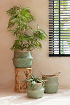 J-LINE KUNSTPLANT CHAMAEDOREA IN POT PLASTIC GROEN/ZWART LARGE 31X60X114CM - Tuincentrum Lopik