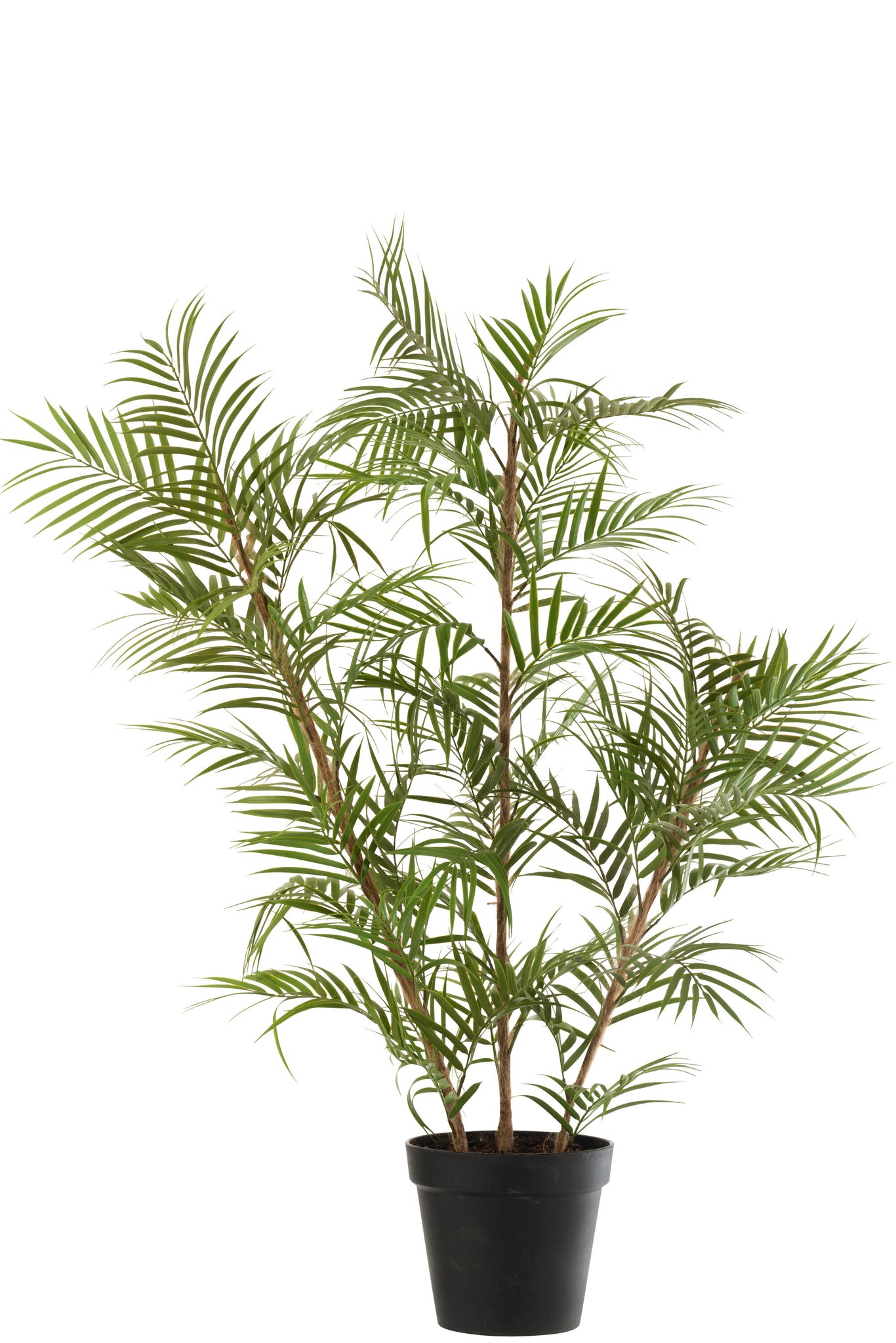 J-LINE KUNSTPLANT CHAMAEDOREA IN POT PLASTIC GROEN/ZWART LARGE 31X60X114CM - Tuincentrum Lopik