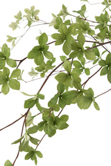 J-LINE KUNSTPLANT FIJNE BLADEREN PLASTIC GROEN/ZWART 192 CM - Tuincentrum Lopik