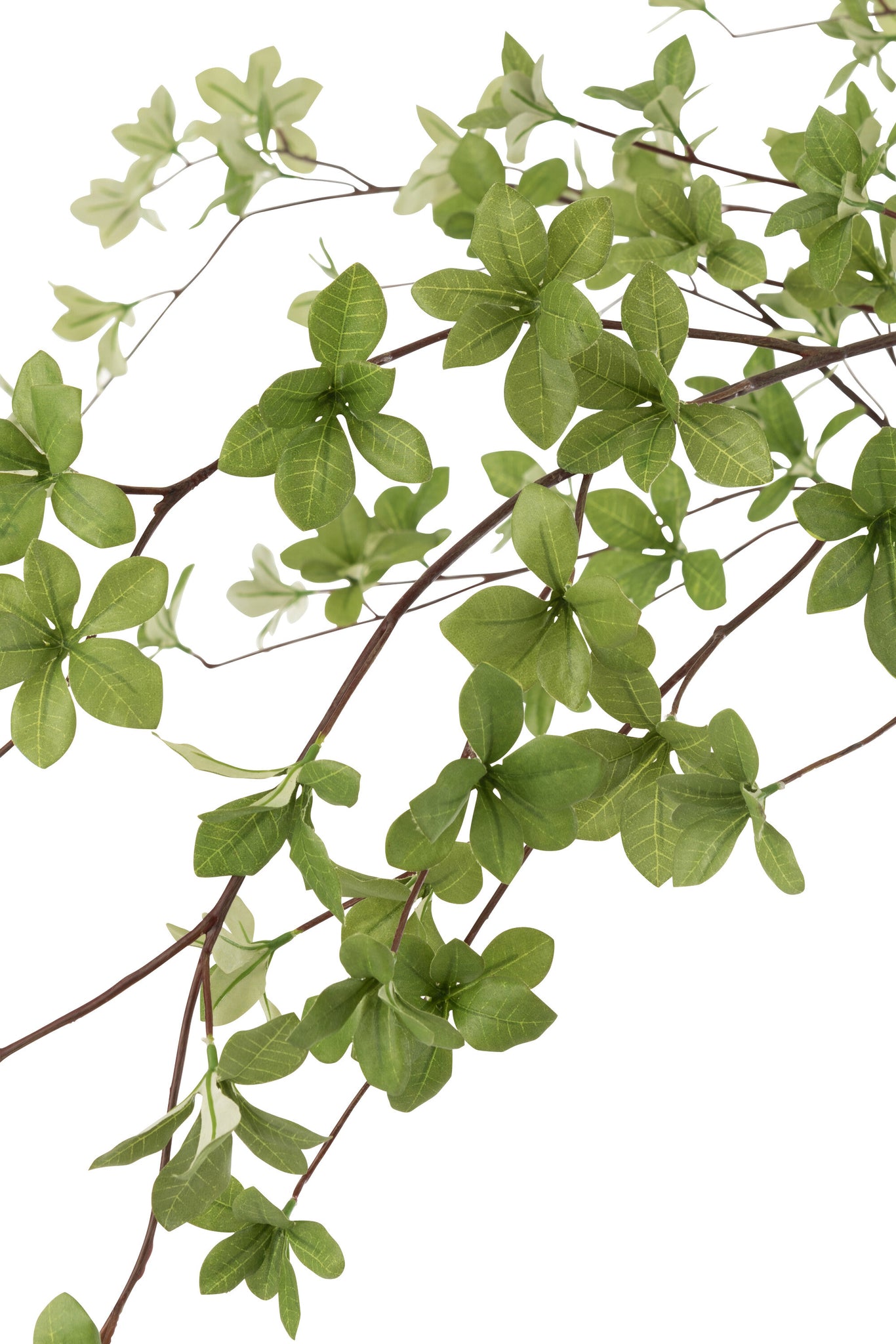 J-LINE KUNSTPLANT FIJNE BLADEREN PLASTIC GROEN/ZWART 192 CM - Tuincentrum Lopik
