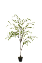 J-LINE KUNSTPLANT FIJNE BLADEREN PLASTIC GROEN/ZWART 192 CM - Tuincentrum Lopik