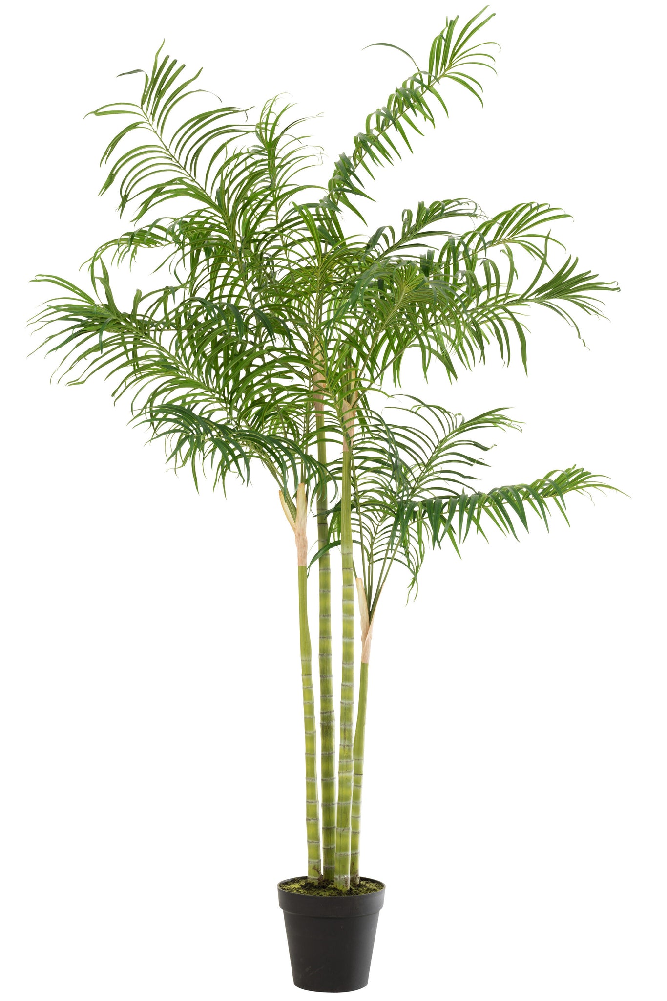 J-LINE KUNSTPLANT BAMBOO PALM IN POT GROEN/ZWART LARGE H175XB120CM - Tuincentrum Lopik