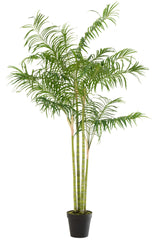 J-LINE KUNSTPLANT BAMBOO PALM IN POT GROEN/ZWART LARGE H175XB120CM - Tuincentrum Lopik