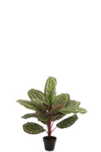 J-LINE KUNSTPLANT PAUWENPLANT IN PLASTIC POT GROEN - Tuincentrum Lopik