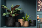 J-LINE KUNSTPLANT PAUWENPLANT IN PLASTIC POT GROEN - Tuincentrum Lopik
