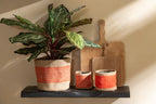 J-LINE KUNSTPLANT PAUWENPLANT IN PLASTIC POT GROEN - Tuincentrum Lopik