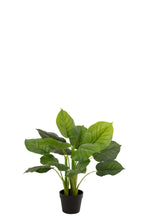 J-LINE KUNSTPLANT POTHOS IN PLASTIC POT GROEN - Tuincentrum Lopik