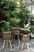 J-LINE KUNSTPLANT POTHOS IN PLASTIC POT GROEN - Tuincentrum Lopik
