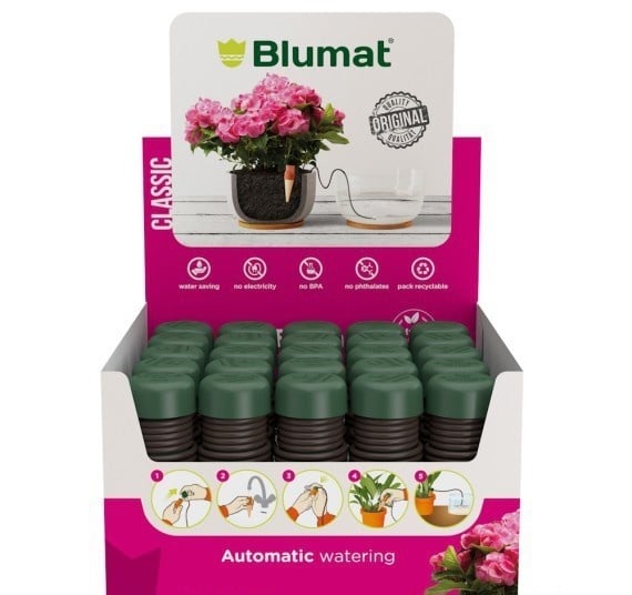CLASSIC KAMERPLANT (DISPLAY 25 STUKS)