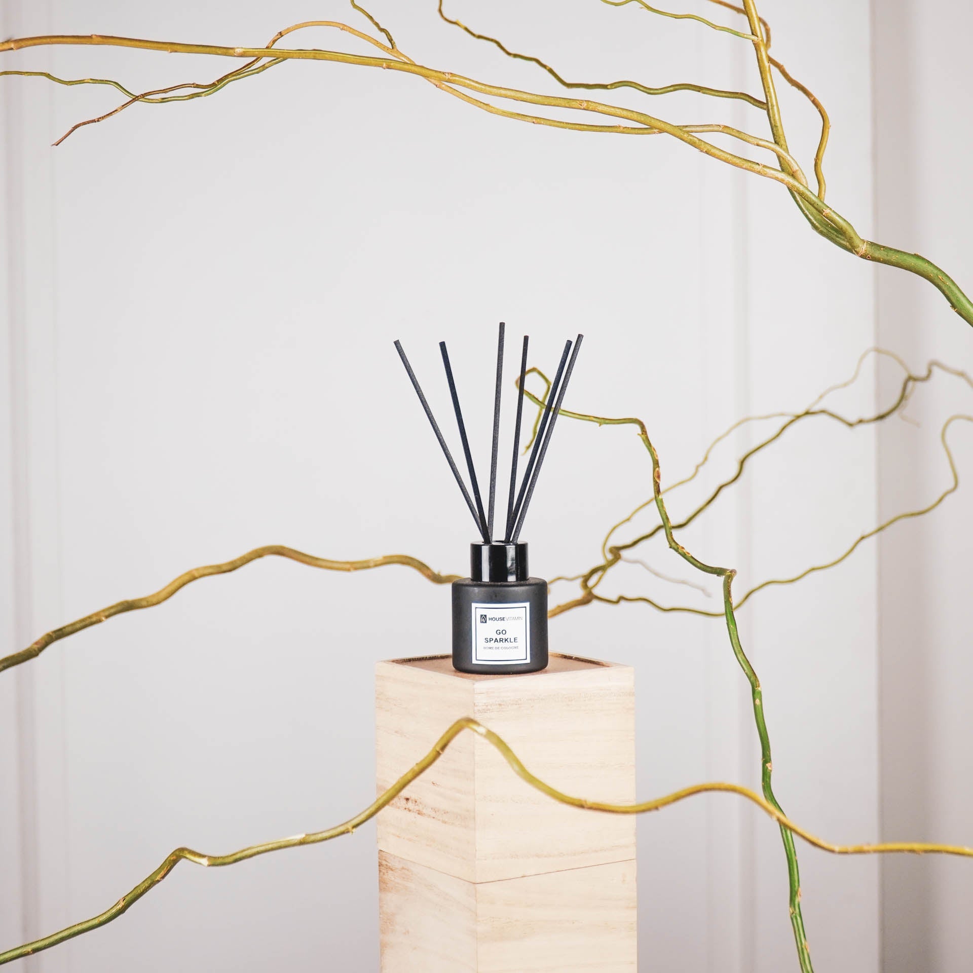 HOUSEVITAMIN REED DIFFUSER GLAS/VEZEL 50ML GO SPARKLE