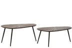 J-LINE SET VAN 2 SALONTAFELS RAY OVAAL GERECYCLED HOUT DONKERBRUIN/ZWART