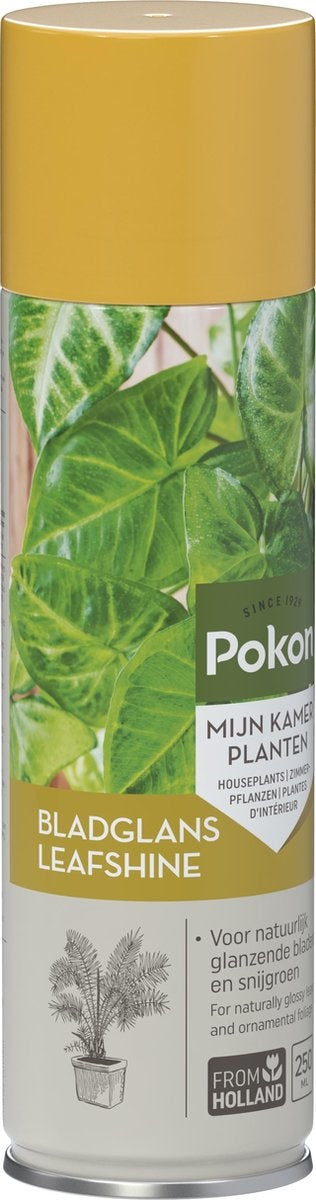  BLADGLANS 600 ML