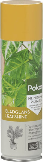  BLADGLANS 600 ML