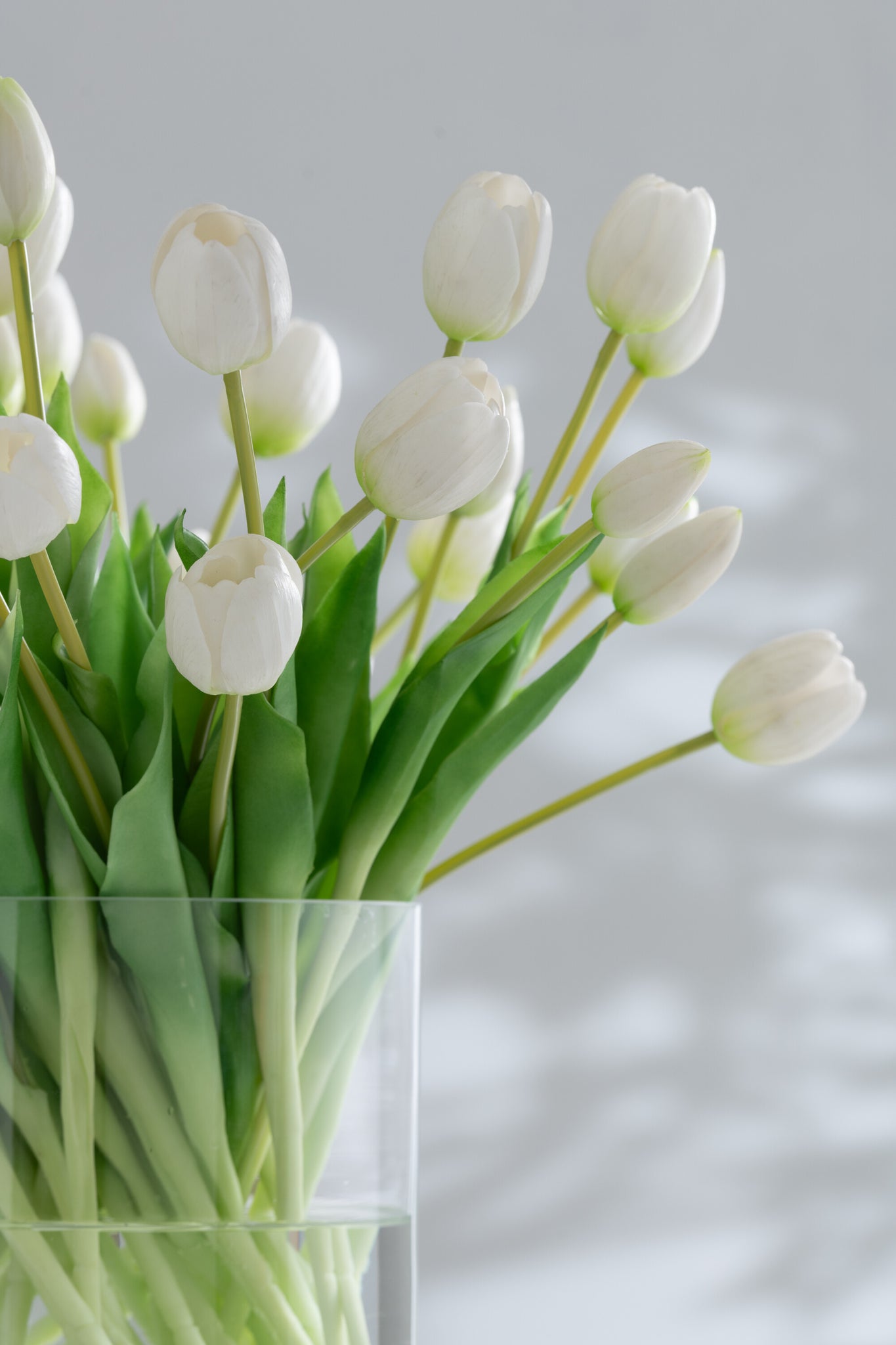 J-LINE BOUQUET TULIPS 7PIECES PU WHITE LARGE - Tuincentrum Lopik