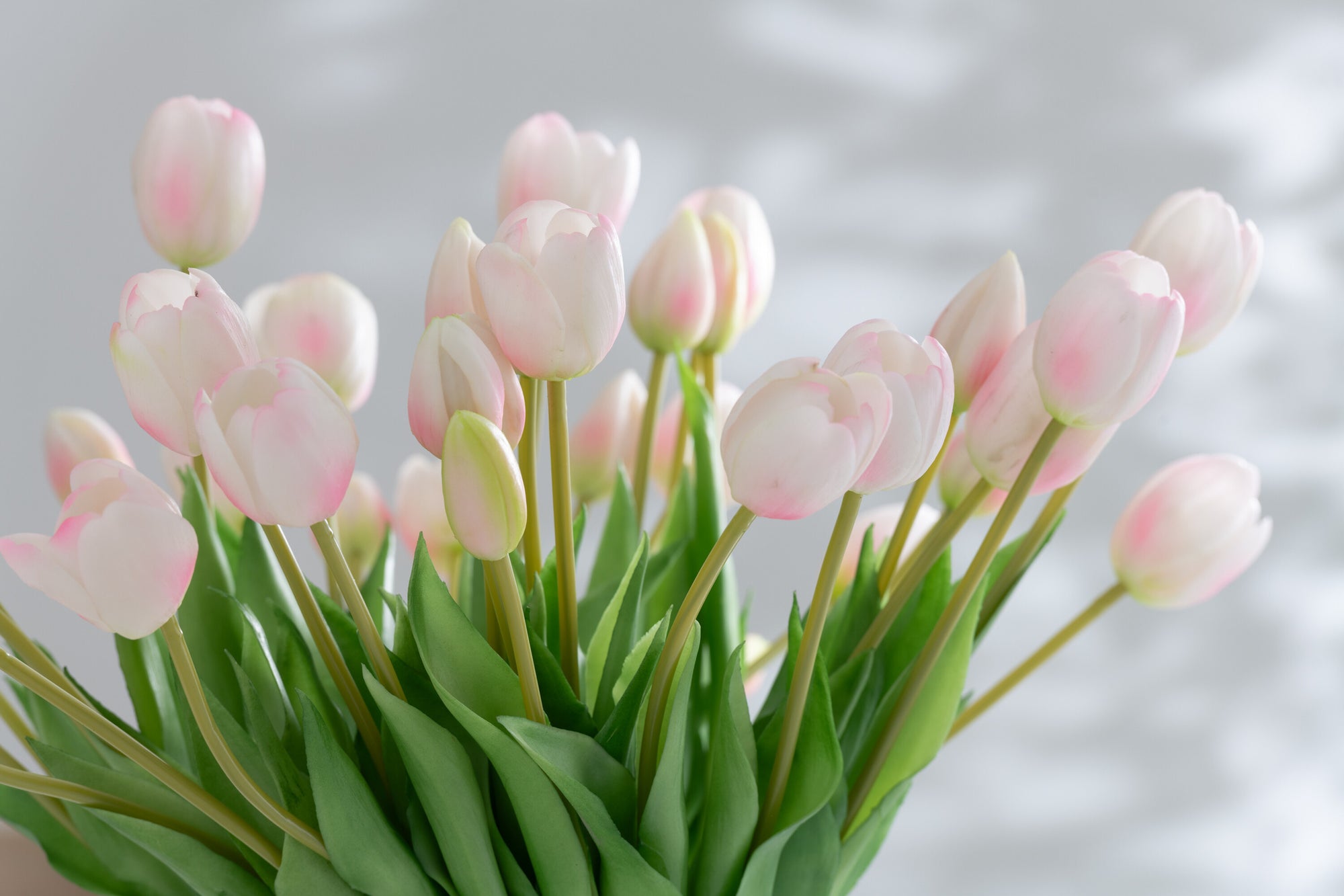 J-LINE BOUQUET TULIPS 7PIECES PU SOFT PINK SMALL - Tuincentrum Lopik