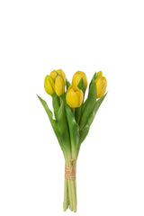 Bouquet Tulips 7Pieces Pu Yellow Small - Tuincentrum Lopik