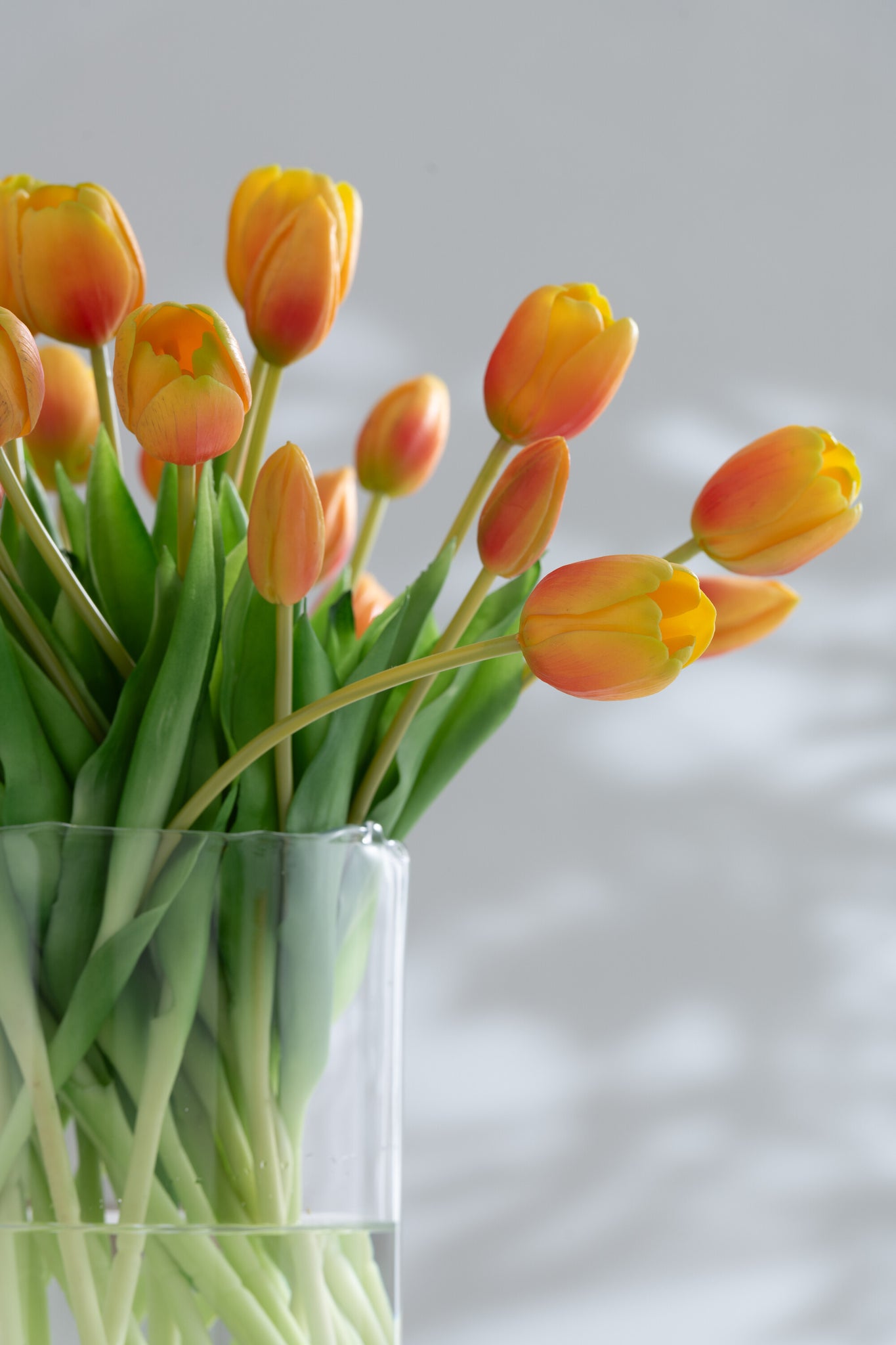 J-LINE BOUQUET TULIPS 7PIECES PU ORANGE LARGE - Tuincentrum Lopik