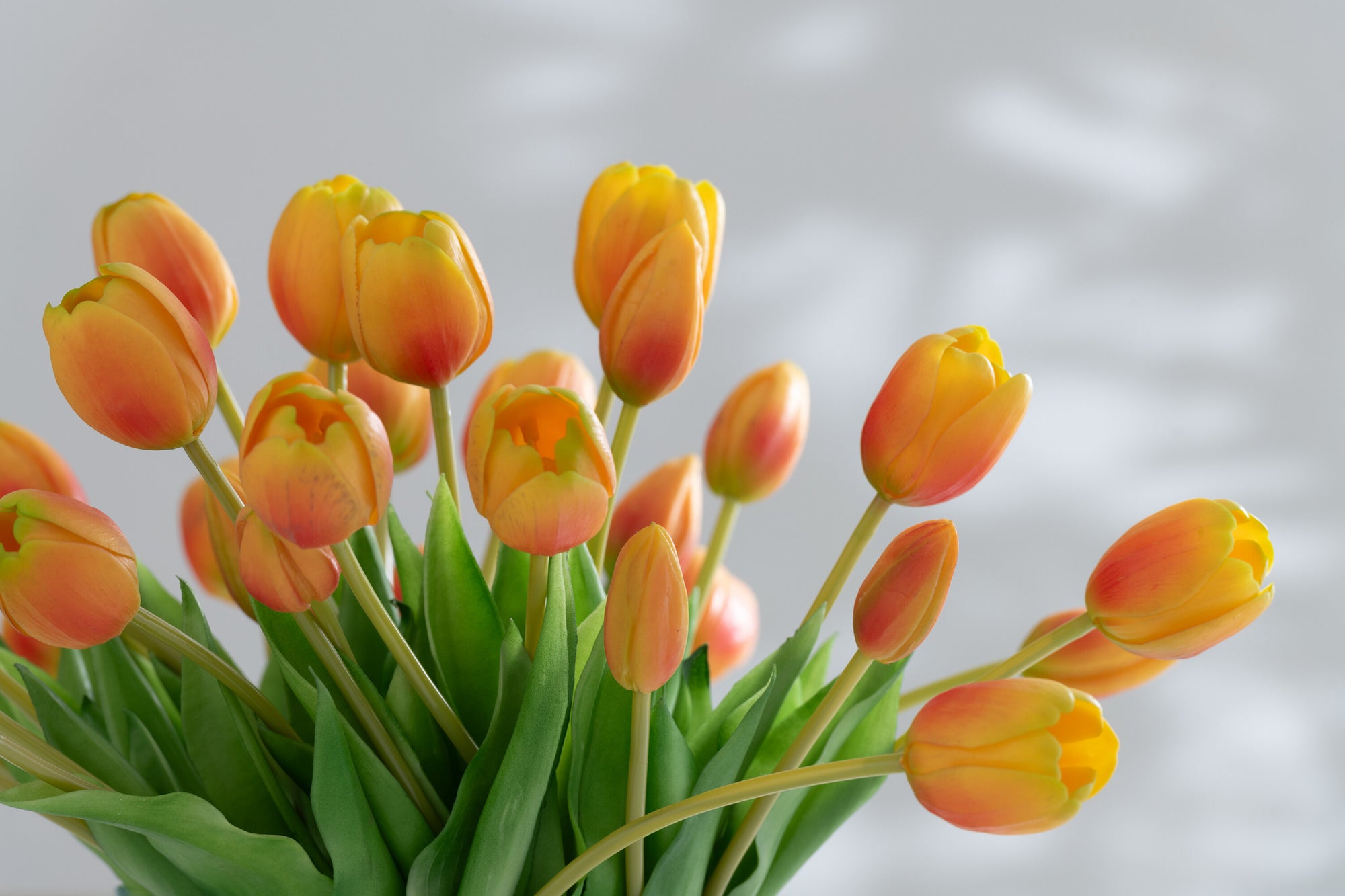 J-LINE BOUQUET TULIPS 7PIECES PU ORANGE LARGE - Tuincentrum Lopik