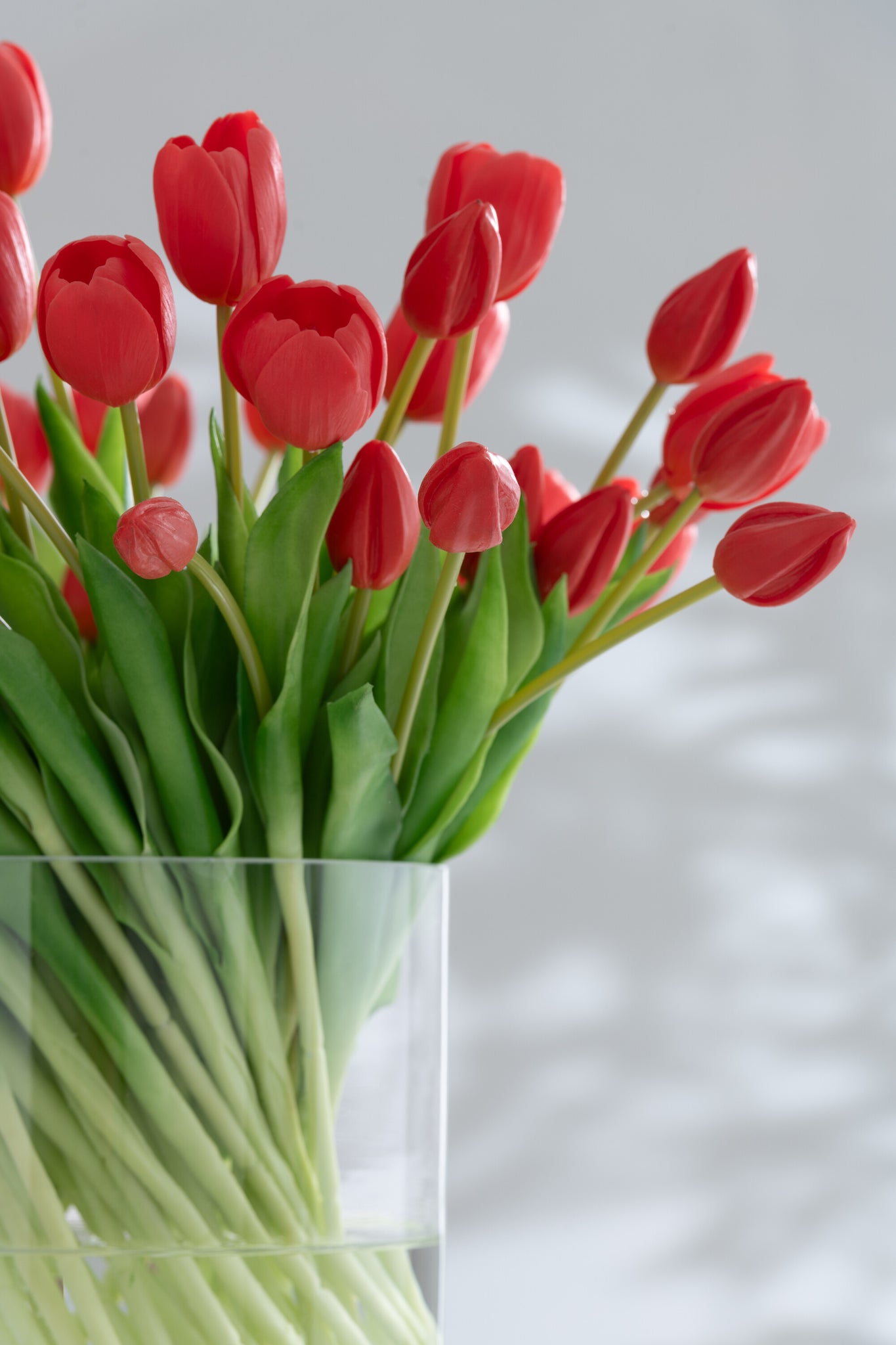 J-LINE BOUQUET TULIPS 7 PIECES PU CORAL PINK SMALL - Tuincentrum Lopik